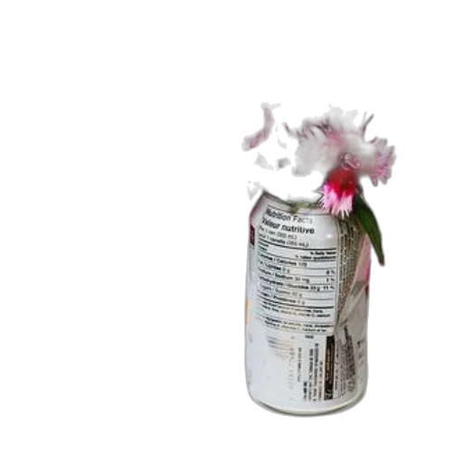 bottle, flower, food, weapon transparent PNG cut-out