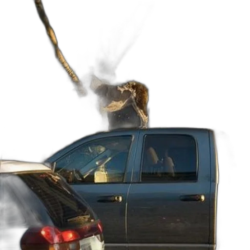 car, staff, weapon, animal transparent PNG cut-out
