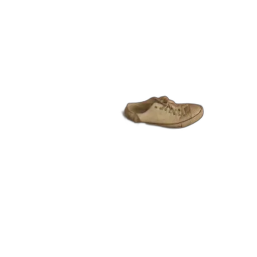 shoes, jewelry, hat, earth tones transparent PNG cut-out