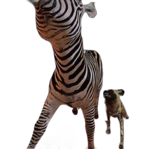 animal, creature, staff, hat transparent PNG cut-out