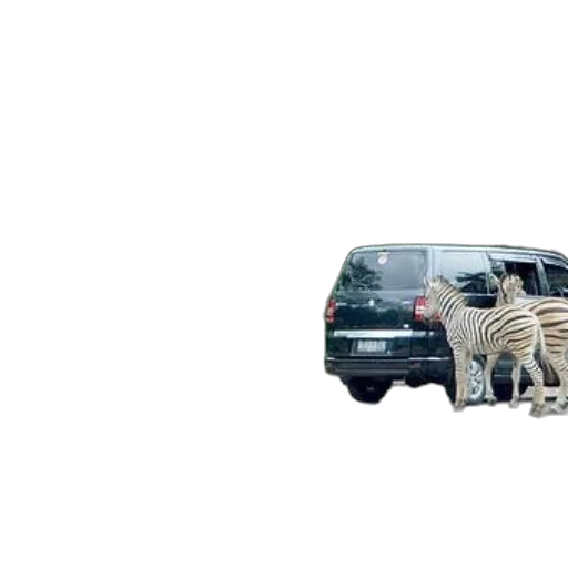 car, animal, robot, creature transparent PNG cut-out