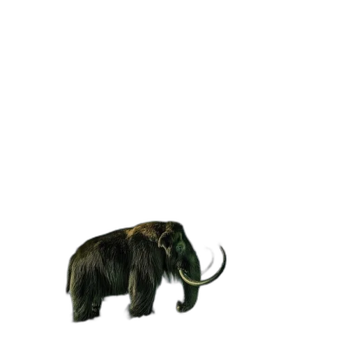 animal, creature, staff, weapon transparent PNG cut-out