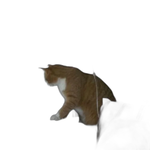 staff, animal, creature, hat transparent PNG cut-out