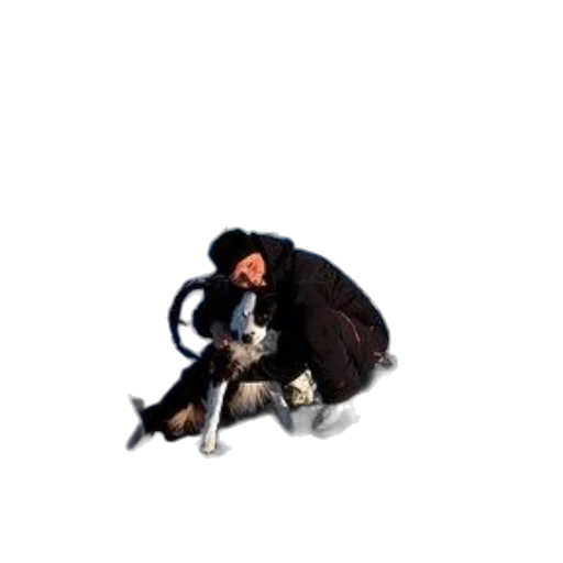 staff, animal, creature, weapon transparent PNG cut-out