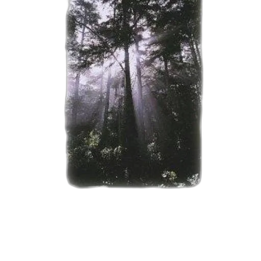 tree, dress, jacket, umbrella transparent PNG cut-out