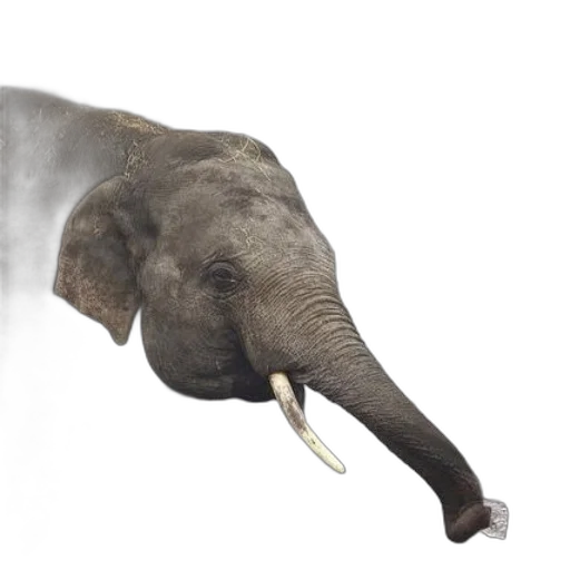 animal, creature, staff, weapon transparent PNG cut-out