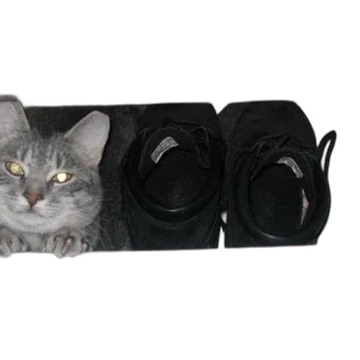 mask, shoes, animal, staff transparent PNG cut-out