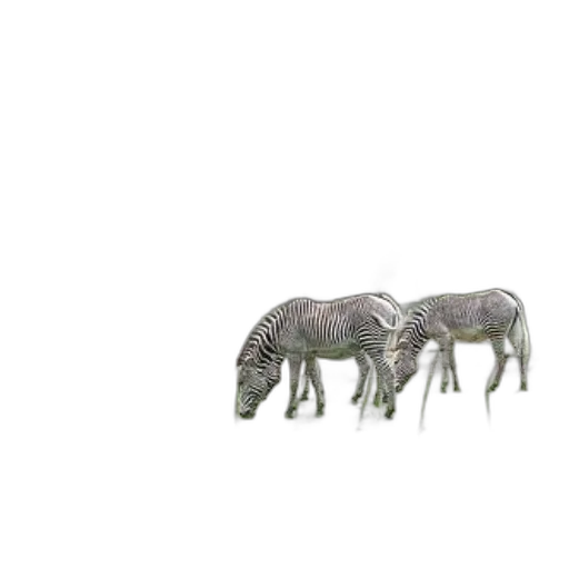 animal, creature, furniture, jewelry transparent PNG cut-out