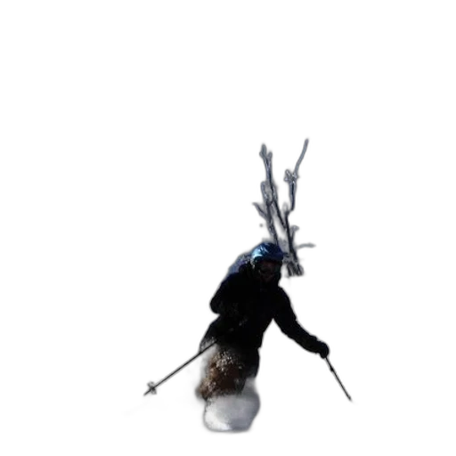 creature, hair, staff, animal transparent PNG cut-out