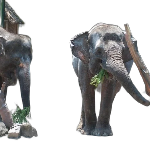 animal, 3d render, concept art, photorealistic transparent PNG cut-out