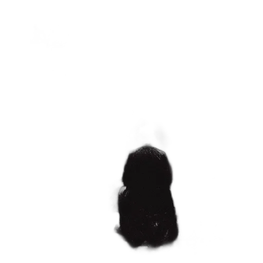 hair, face, hat, dress transparent PNG cut-out