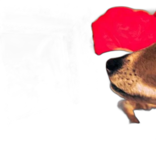 hat, animal, mask, creature transparent PNG cut-out
