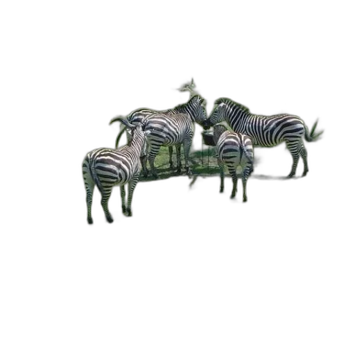 animal, creature, dragon, furniture transparent PNG cut-out