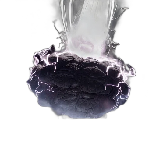 crown, jewelry, hair, shoes transparent PNG cut-out