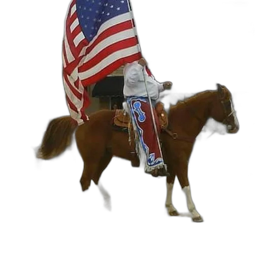 animal, jacket, weapon, staff transparent PNG cut-out