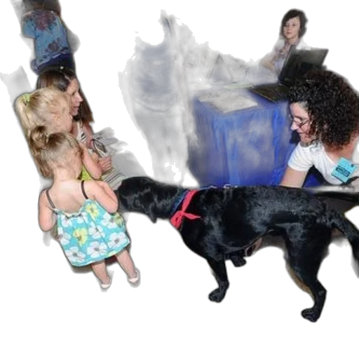 animal, creature, staff, hair transparent PNG cut-out