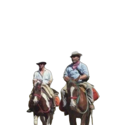 staff, hat, concept art, oil painting transparent PNG cut-out