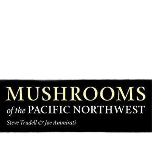 cover, mushrooms, pacific, northwest transparent PNG cut-out