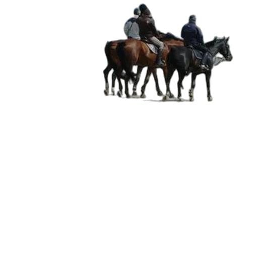 staff, animal, hat, jacket transparent PNG cut-out