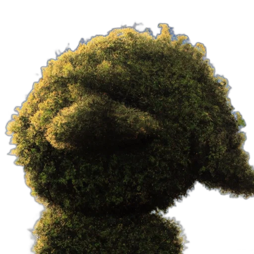 mask, face, hair, crown transparent PNG cut-out
