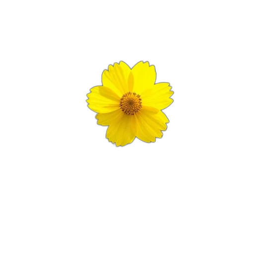 flower, crown, jewelry, staff transparent PNG cut-out