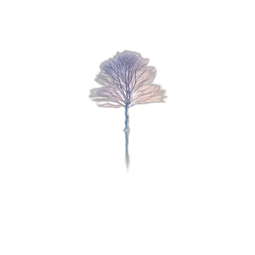 flower, umbrella, crown, jewelry transparent PNG cut-out
