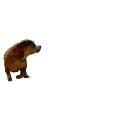 animal, creature, robot, furniture transparent PNG cut-out