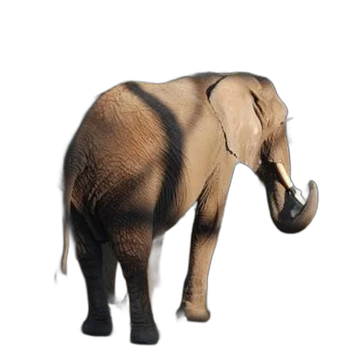 animal, creature, staff, hat transparent PNG cut-out