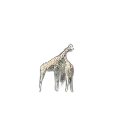 animal, jewelry, creature, staff transparent PNG cut-out