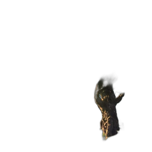 dragon, creature, mask, animal transparent PNG cut-out