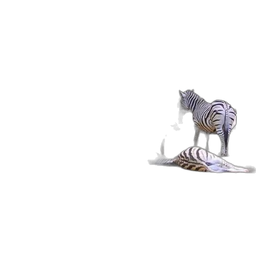 dragon, animal, creature, shoes transparent PNG cut-out