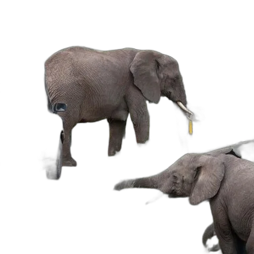 animal, creature, weapon, staff transparent PNG cut-out