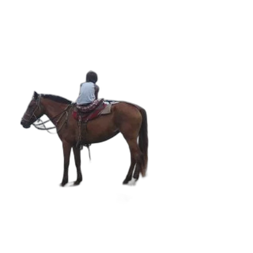 animal, hat, staff, jacket transparent PNG cut-out