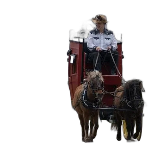 animal, car, staff, photorealistic transparent PNG cut-out