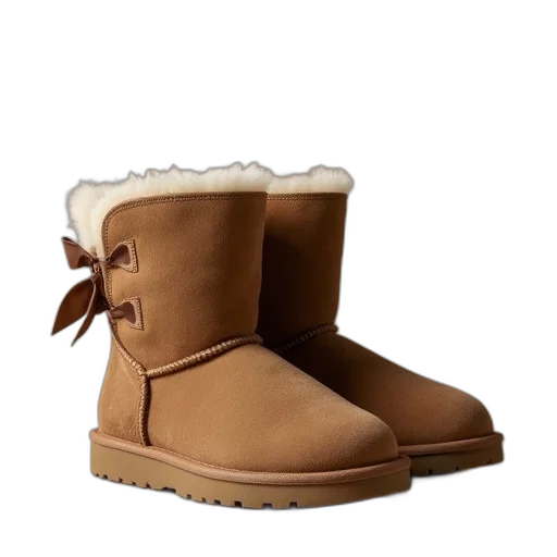 shoes, hat, 3d render, ugg transparent PNG cut-out