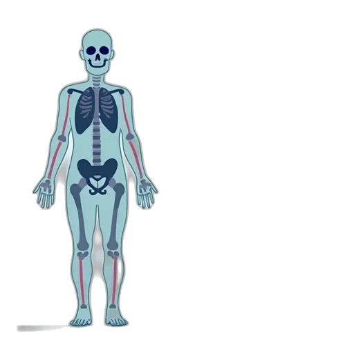 robot, concept art, diagram, showing transparent PNG cut-out
