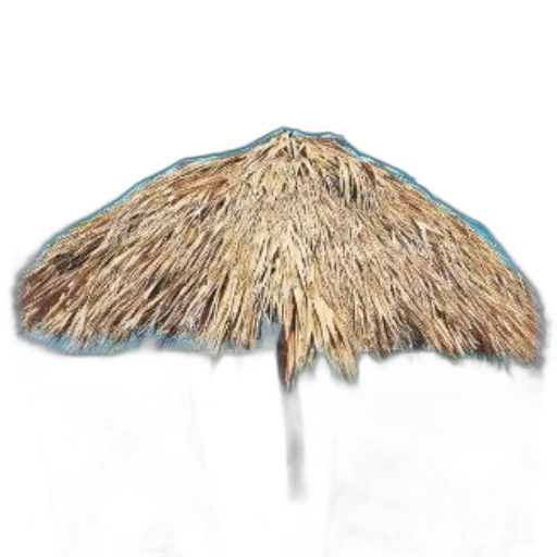 umbrella, hat, staff, hair transparent PNG cut-out