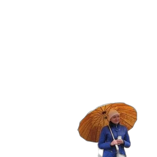 umbrella, hat, jacket, staff transparent PNG cut-out