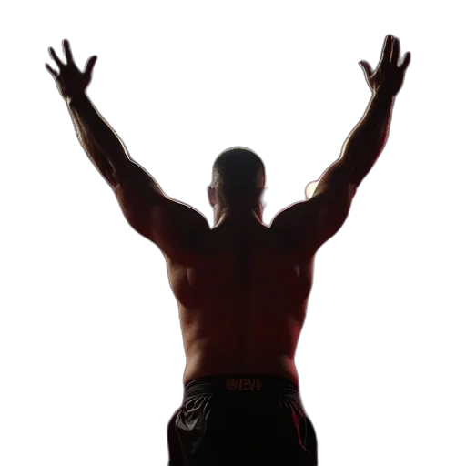 revival, his, arms, wwe transparent PNG cut-out