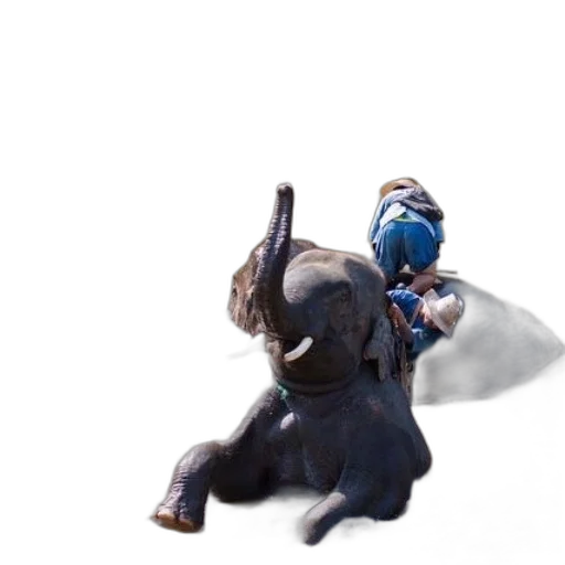 creature, dragon, animal, staff transparent PNG cut-out