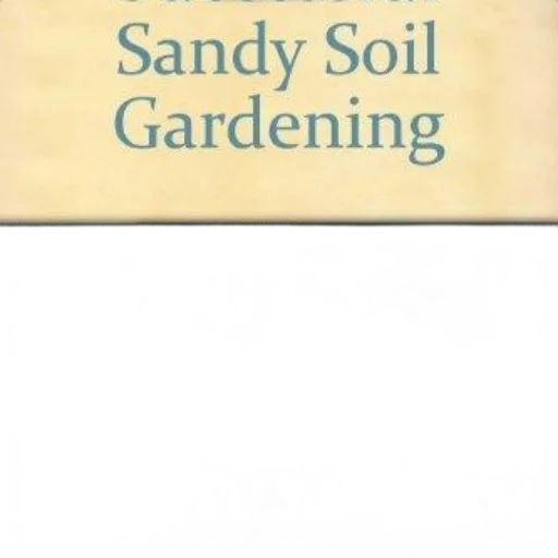 book, cover, title, successful transparent PNG cut-out