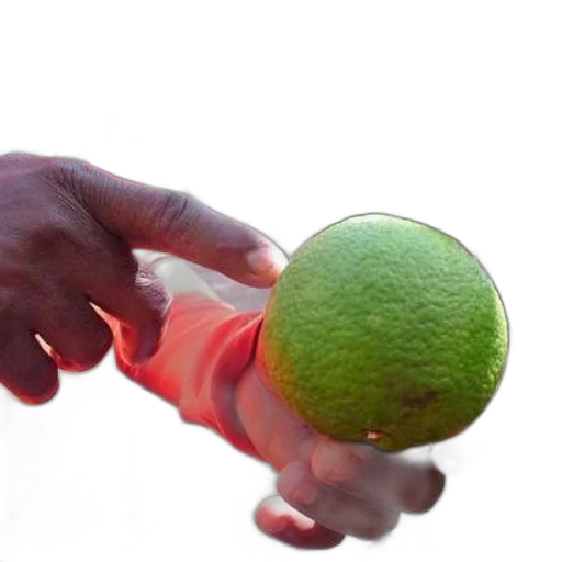bottle, weapon, food, staff transparent PNG cut-out