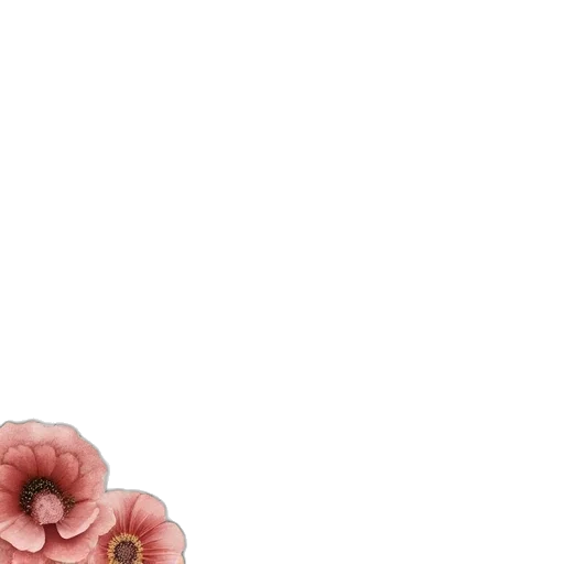 flower, crown, jewelry, food transparent PNG cut-out
