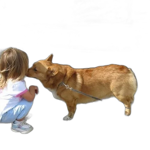 animal, creature, photorealistic, child transparent PNG cut-out