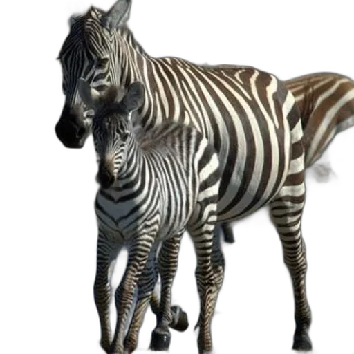 animal, creature, jewelry, 3d render transparent PNG cut-out