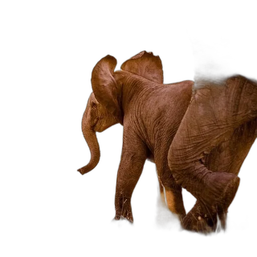 animal, creature, 3d render, concept art transparent PNG cut-out