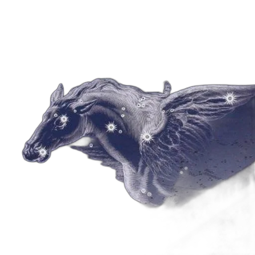 dragon, jewelry, crown, animal transparent PNG cut-out