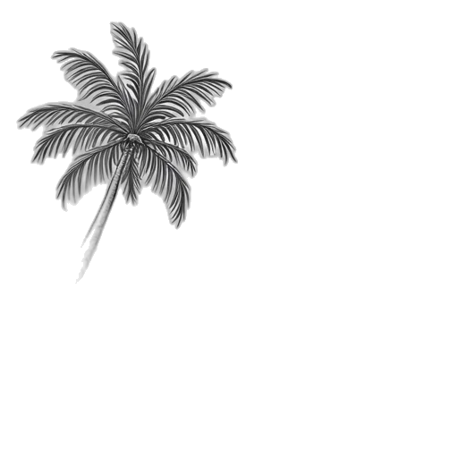tree, umbrella, hat, hair transparent PNG cut-out