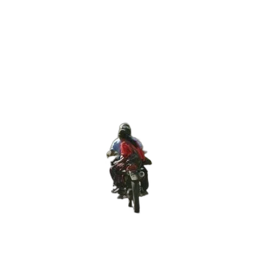 jacket, animal, robot, creature transparent PNG cut-out