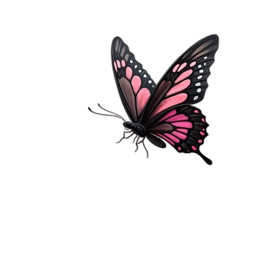 animal, creature, flower, jewelry transparent PNG cut-out